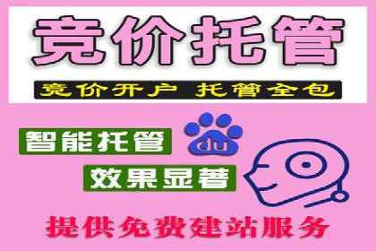 百度广告推广案例：优化广告投放策略